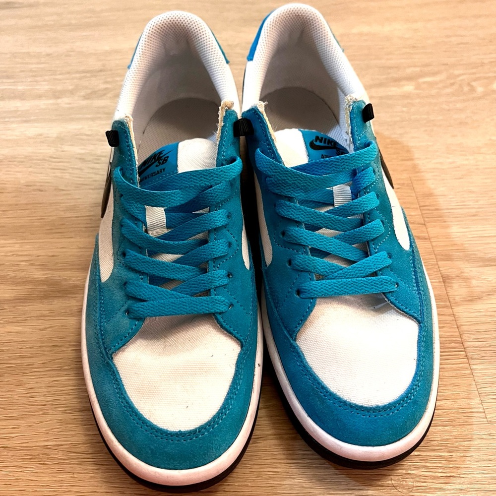 Nike SB Adversary Premium Men’s 8